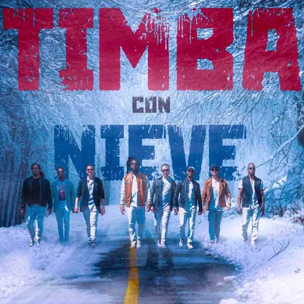 Timba Con Nieve