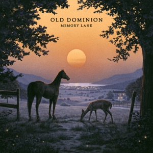 Old Dominion - Easy to Miss - Line Dance Music