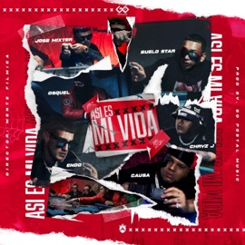 ASI ES MI VIDA (feat. Guelo Star, Endo, Osquel, Causa & Chryz Jay) Jose Mixter