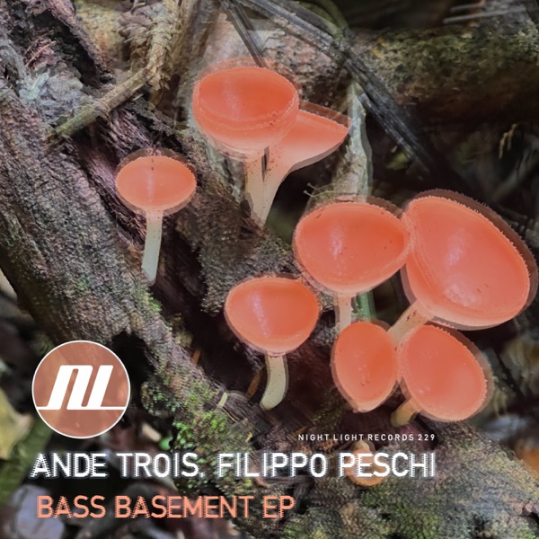 Bass Basement - Single