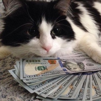 arriving on my racks - Single