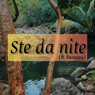Ste da nite (feat. Swaggy) - Single