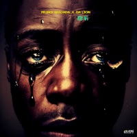 Eu Vi - Single - Prince Wadada & Da Lion