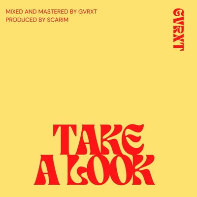 TAKE a LOOK (Alternative Mix) - Single