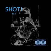 SHOT! artwork