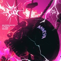 Amnesia (feat. Lil King, T'challa & Boikido) - Single - BM