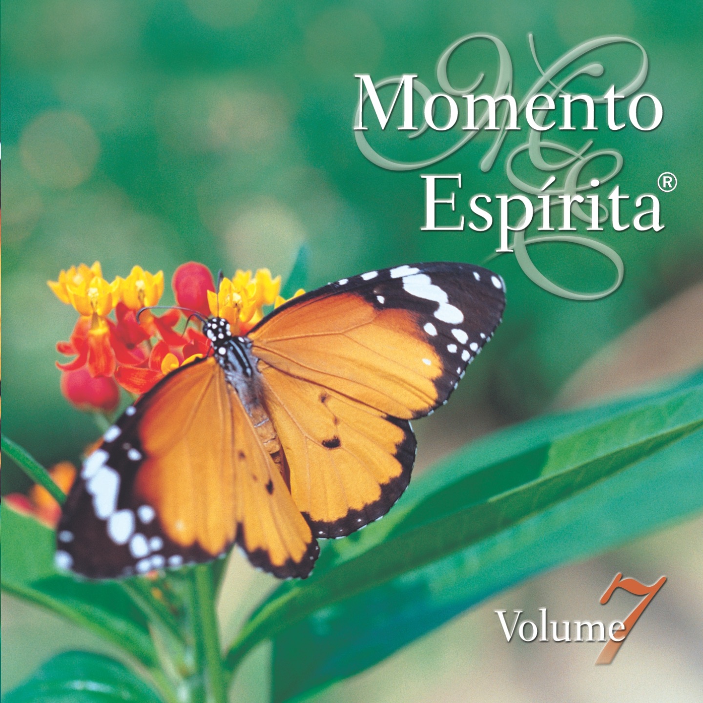 Momento Espírita, Vol.7