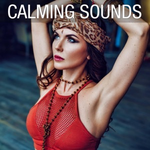 Relaxation Music - EP