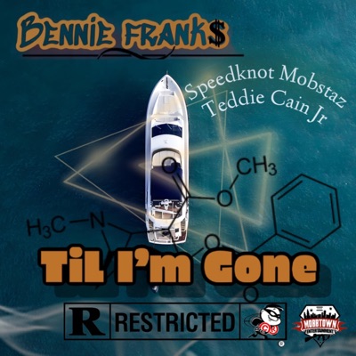 Til Im Gone (feat. Speedknot Mobstaz & Teddie Cain jr) - Single