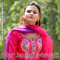 Mar Jaungi Mewati (feat. Irfan Sogan) - Single - SB Irfan Alwar