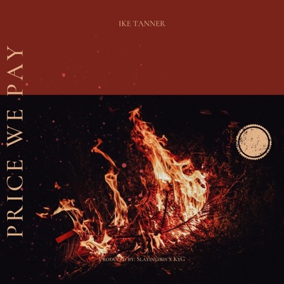 Price We Pay - Single