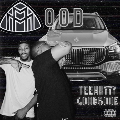 Mood (feat. GoodBook) - Single