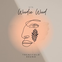 Trentyold 882nd (feat. Sammie) - Single - Lil Woodie Wood