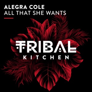 All That She Wants - Single