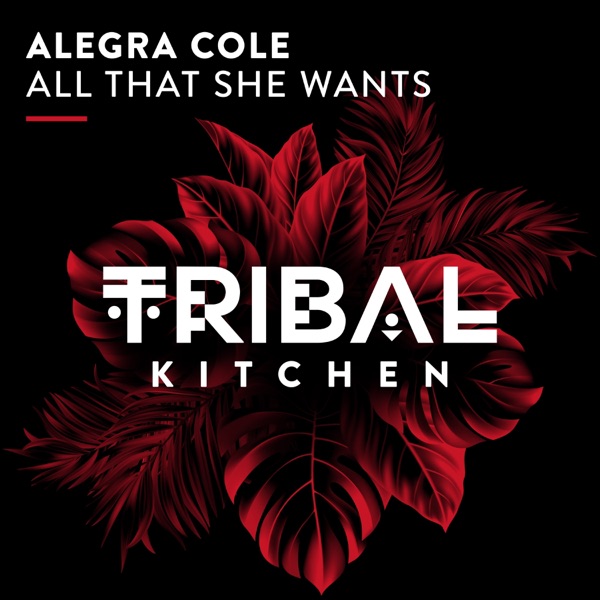 All That She Wants - Single