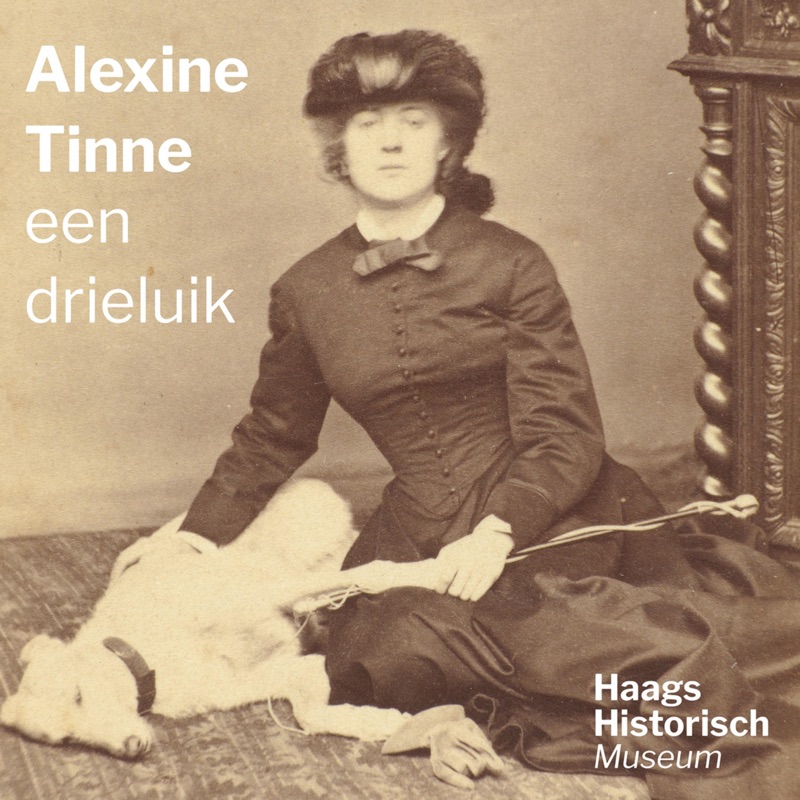 Alexine Tinne, een drieluik. Deel 3: de camera