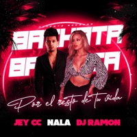 Por El Resto De Tu Vida (Bachata) - Single - DJ Ramon, Nala & Jey CC