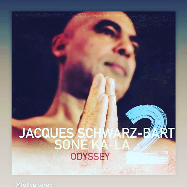 Jacques Schwarz-Bart's avatar