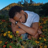 Ily Say It Back - Single - Wackavelli