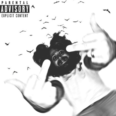 Birdman - Single