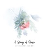 A Story of Flower - Single