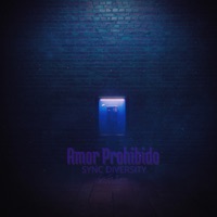 Amor Prohibido - Single - SgFer Music & Sync Diversity