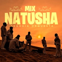 Mix Natusha (El la Engañó / Rumba Lambada / Sin Ti / Tú la Tienes Que Pagar) - Single - Segovia Orquesta