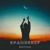 Spaceship