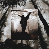 Hear Them Howling (feat. Rellim) - Single - Beamon & Always November