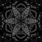 Bullet with Butterfly Wings - Zac Rucker lyrics
