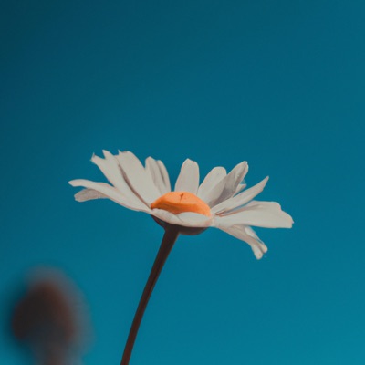 Damn! (feat. Simo) - Single