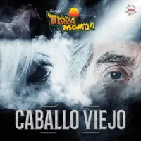 Caballo Viejo — Banda Tierra Mojada
