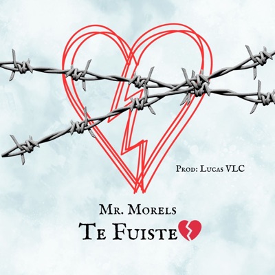 Te Fuiste - Single