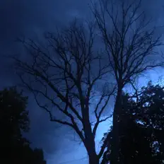 Listen to Syuksayansaary, watch music videos, read bio, see tour dates & more!