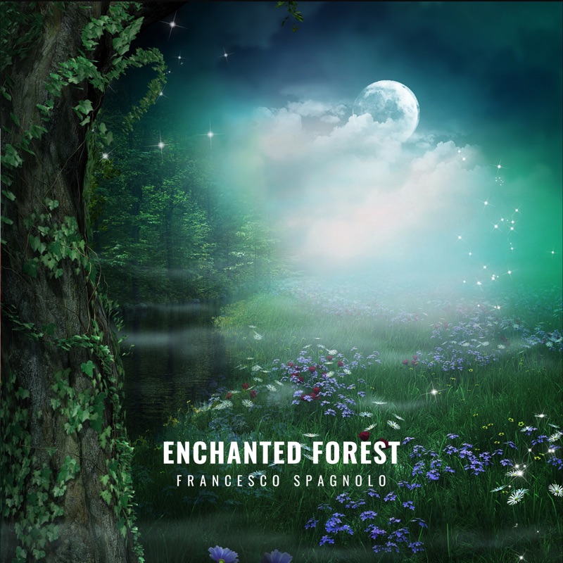 Enchanted Forest - Single