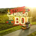 Segue o Caminho do Boi