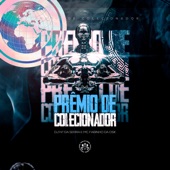 PRÊMIO DE COLECIONADOR artwork