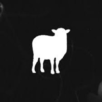 Black Sheep - Single - CrypticRarity