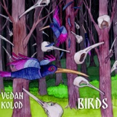 Vedan Kolod - Flock of Ducks