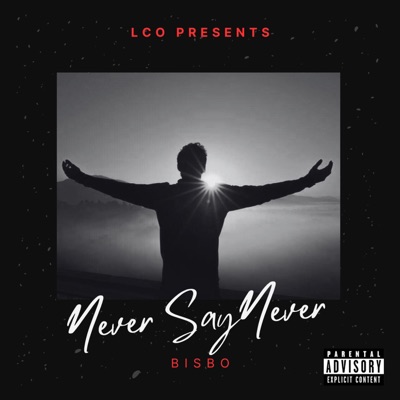 Never Say Never - Single