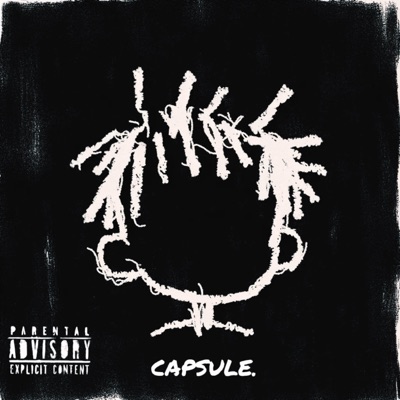 CAPSULE.