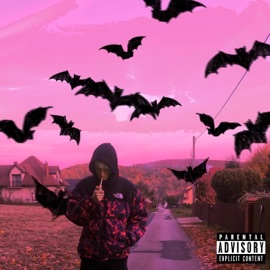 Listy (feat. Wjk) Watchmedieslowly