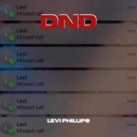 Do Not Disturb (feat. Dmajormusic) - Single - Levi Phillips