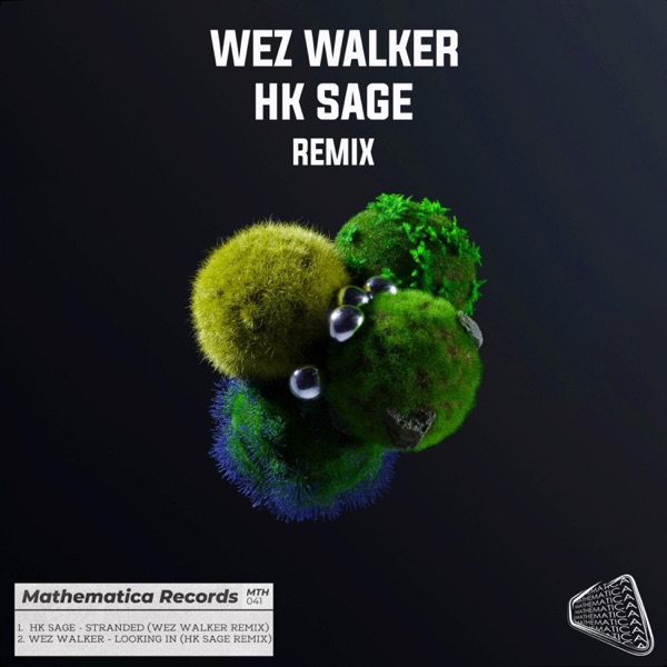 Remix - Single