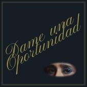 Dame Una Oportunidad artwork