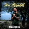 Mi Ansiedad - Single