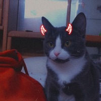 Tired of Love (feat. Stuey Blanco) - Single - Robtop