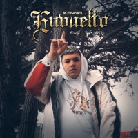 Envuelto - Single - Kennel