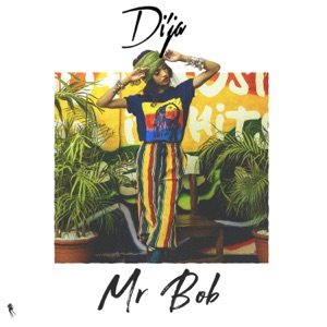 Mr Bob