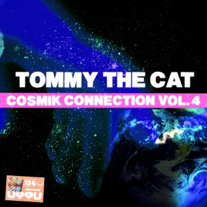 The Cosmik Connection, Vol. 4 - EP